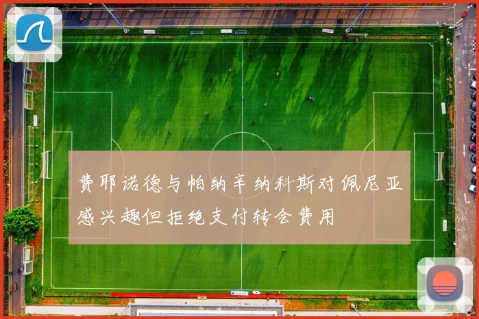 费耶诺德与帕纳辛纳科斯对佩尼亚感兴趣但拒绝支付转会费用