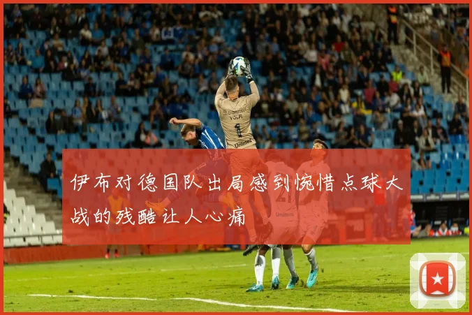 伊布对德国队出局感到惋惜点球大战的残酷让人心痛